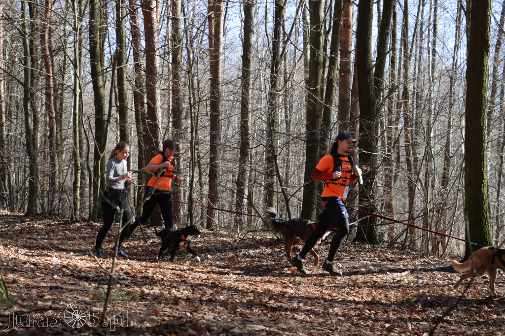 Fotorelacja I: Jurajski Dogtrekking w Myszkowie