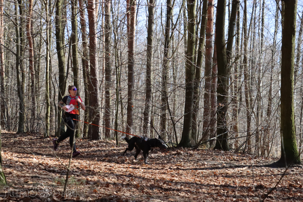 Fotorelacja I: Jurajski Dogtrekking w Myszkowie