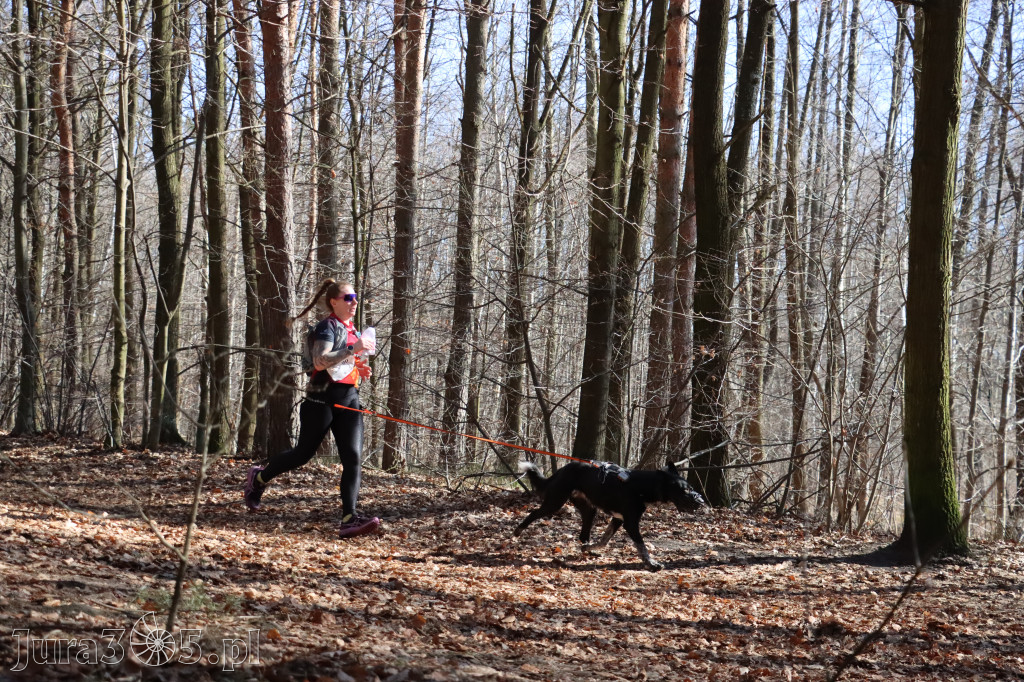 Fotorelacja I: Jurajski Dogtrekking w Myszkowie