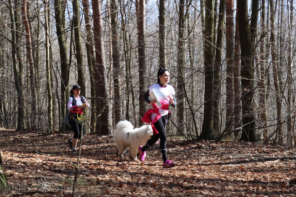 Fotorelacja I: Jurajski Dogtrekking w Myszkowie