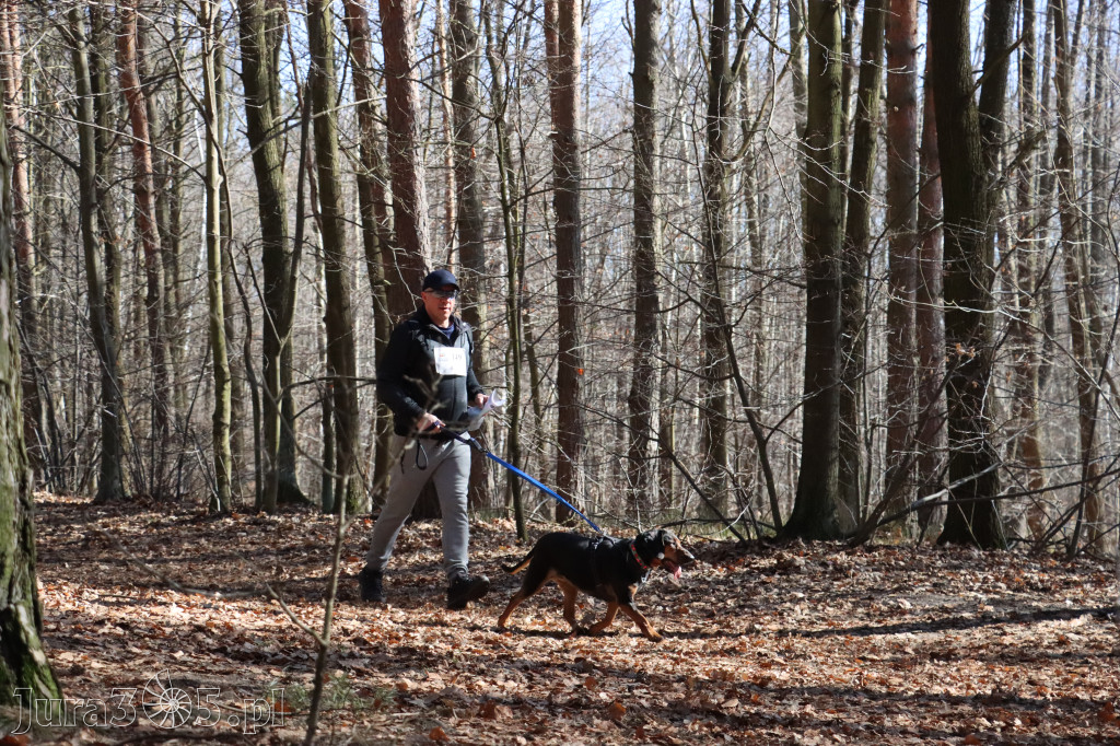 Fotorelacja I: Jurajski Dogtrekking w Myszkowie