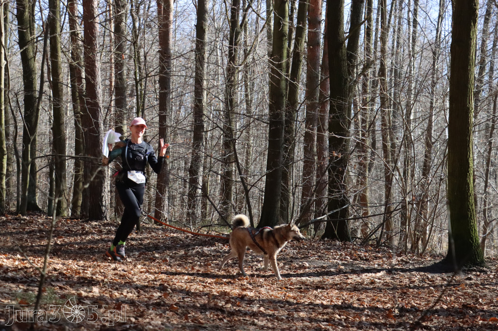 Fotorelacja I: Jurajski Dogtrekking w Myszkowie
