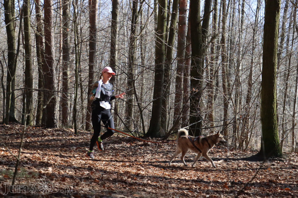 Fotorelacja I: Jurajski Dogtrekking w Myszkowie