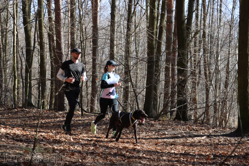 Fotorelacja I: Jurajski Dogtrekking w Myszkowie