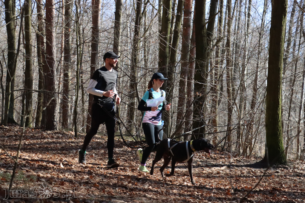 Fotorelacja I: Jurajski Dogtrekking w Myszkowie