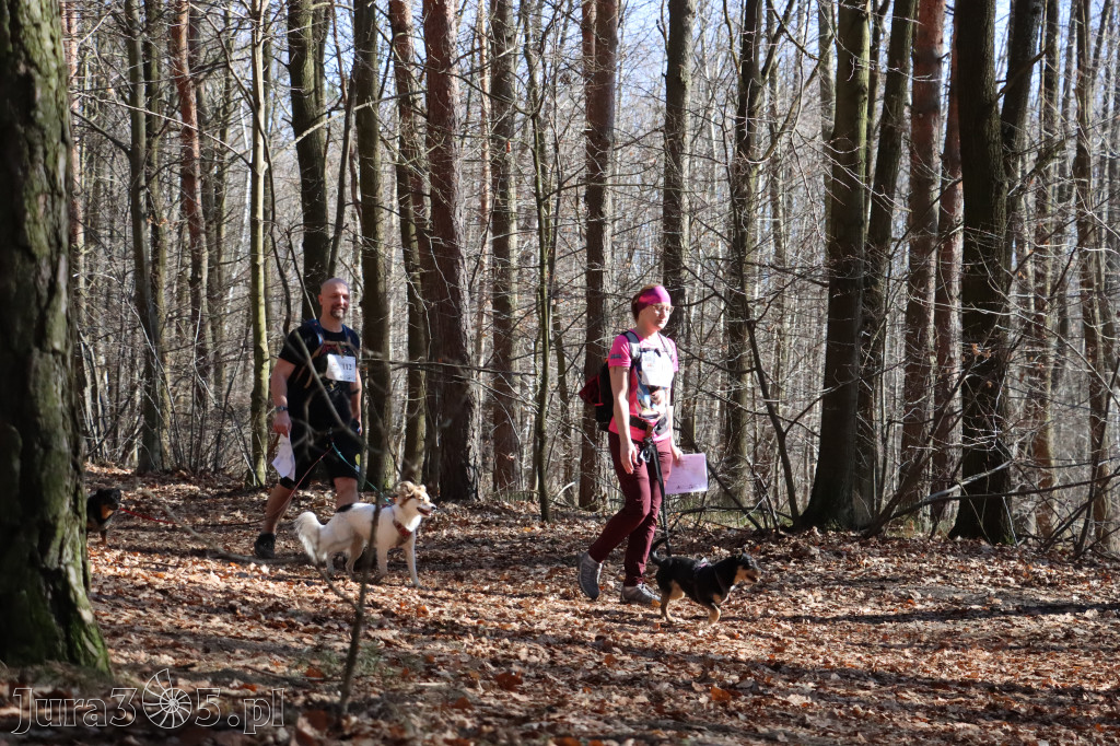 Fotorelacja I: Jurajski Dogtrekking w Myszkowie