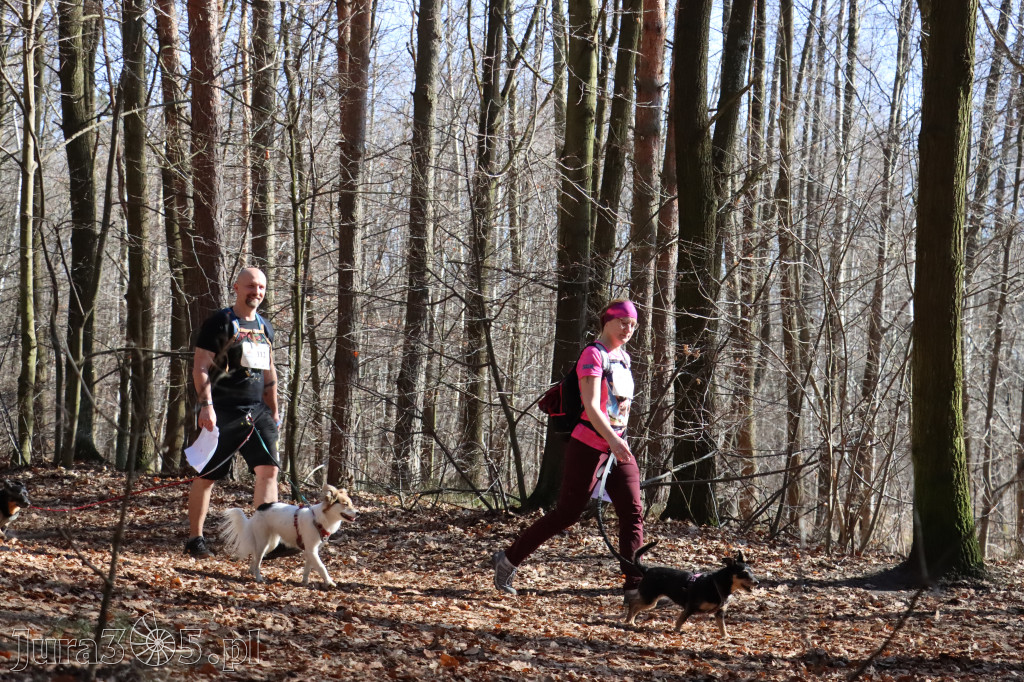 Fotorelacja I: Jurajski Dogtrekking w Myszkowie