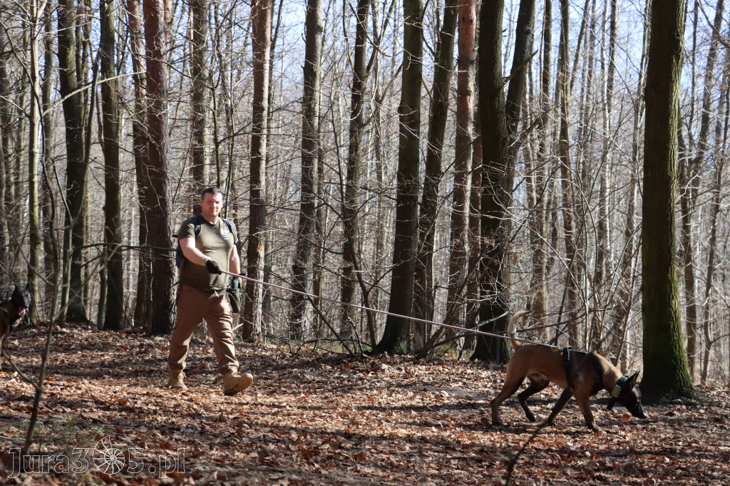 Fotorelacja I: Jurajski Dogtrekking w Myszkowie