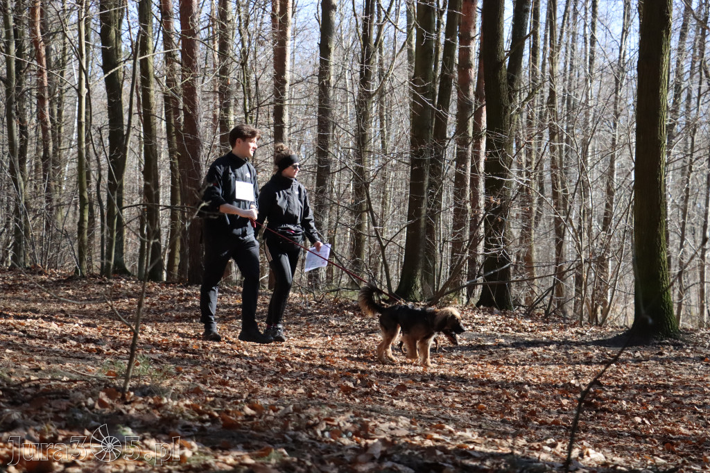 Fotorelacja I: Jurajski Dogtrekking w Myszkowie