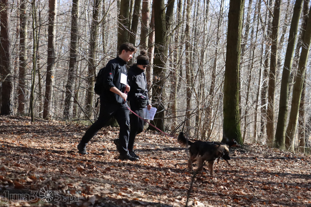 Fotorelacja I: Jurajski Dogtrekking w Myszkowie