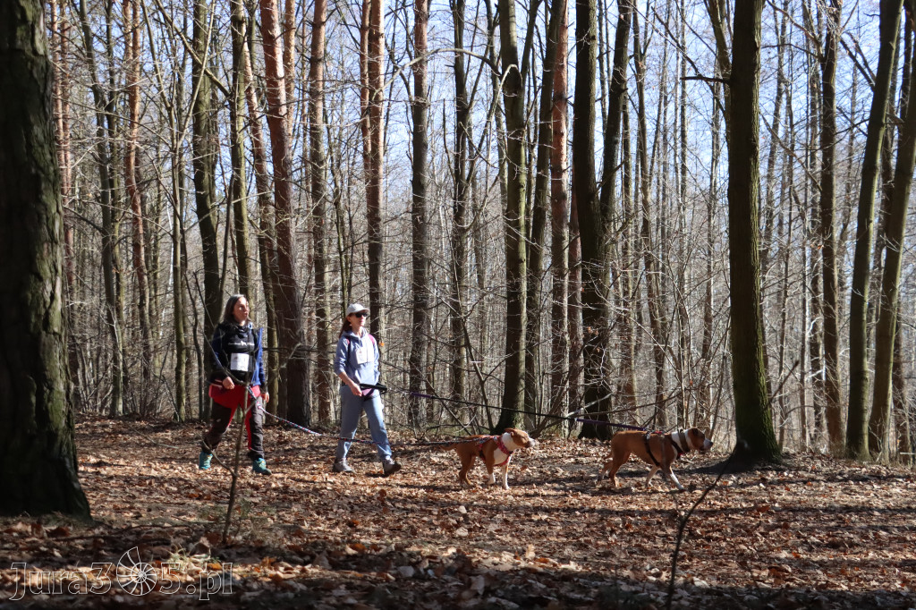 Fotorelacja I: Jurajski Dogtrekking w Myszkowie