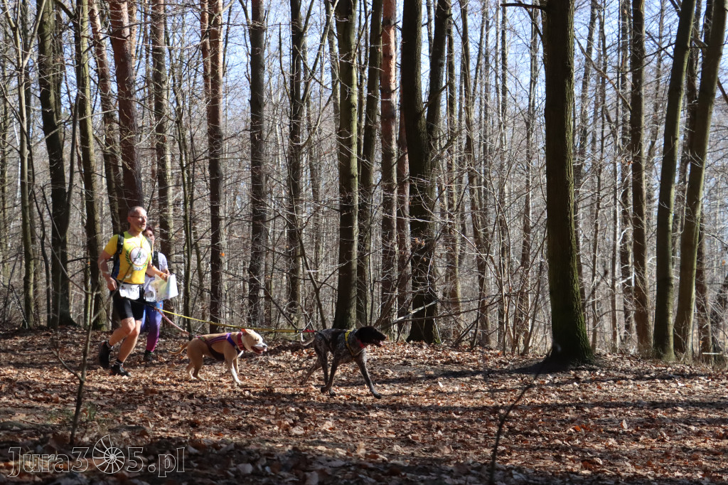 Fotorelacja I: Jurajski Dogtrekking w Myszkowie