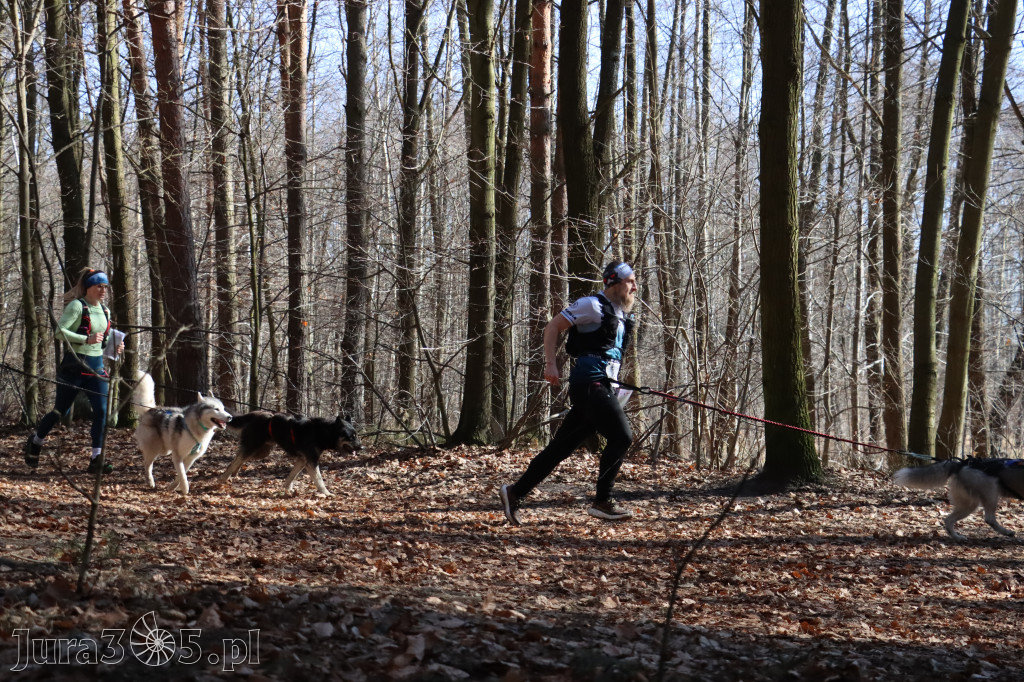 Fotorelacja I: Jurajski Dogtrekking w Myszkowie