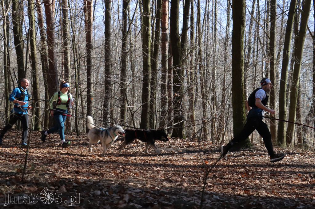 Fotorelacja I: Jurajski Dogtrekking w Myszkowie
