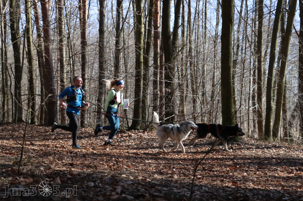 Fotorelacja I: Jurajski Dogtrekking w Myszkowie