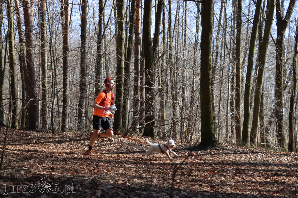 Fotorelacja I: Jurajski Dogtrekking w Myszkowie