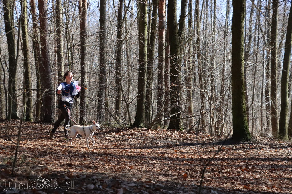 Fotorelacja I: Jurajski Dogtrekking w Myszkowie