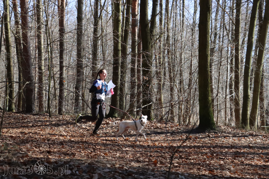 Fotorelacja I: Jurajski Dogtrekking w Myszkowie