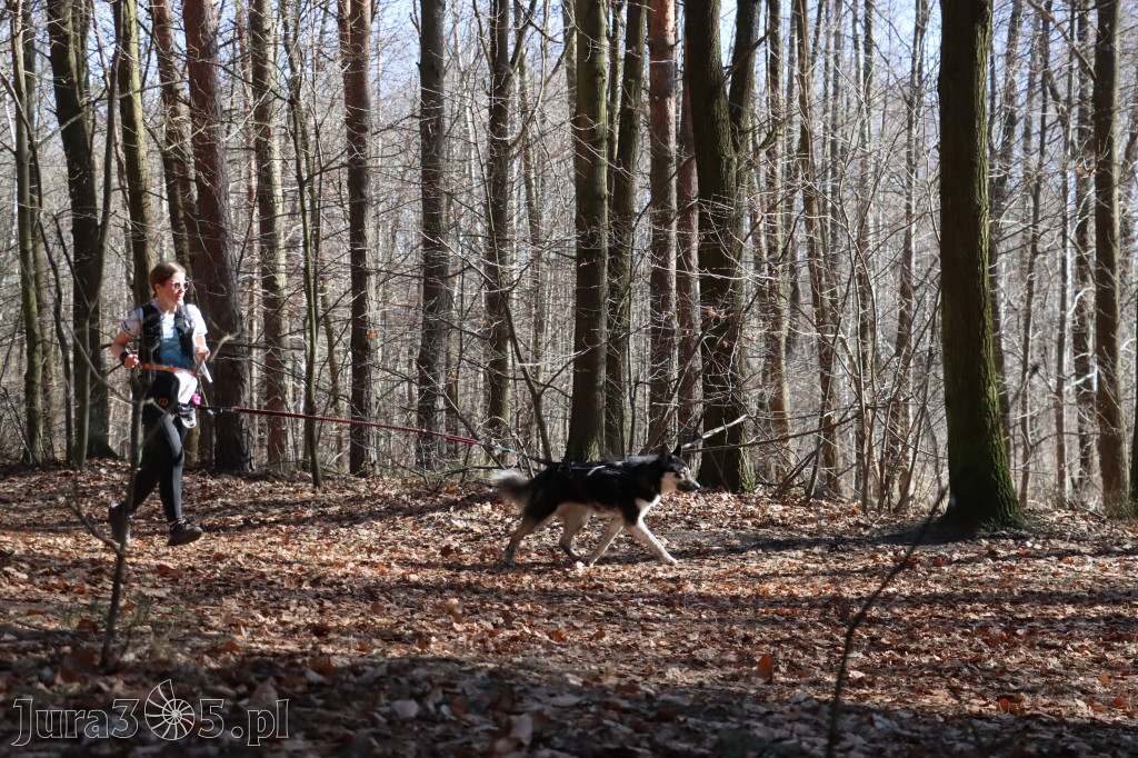 Fotorelacja I: Jurajski Dogtrekking w Myszkowie