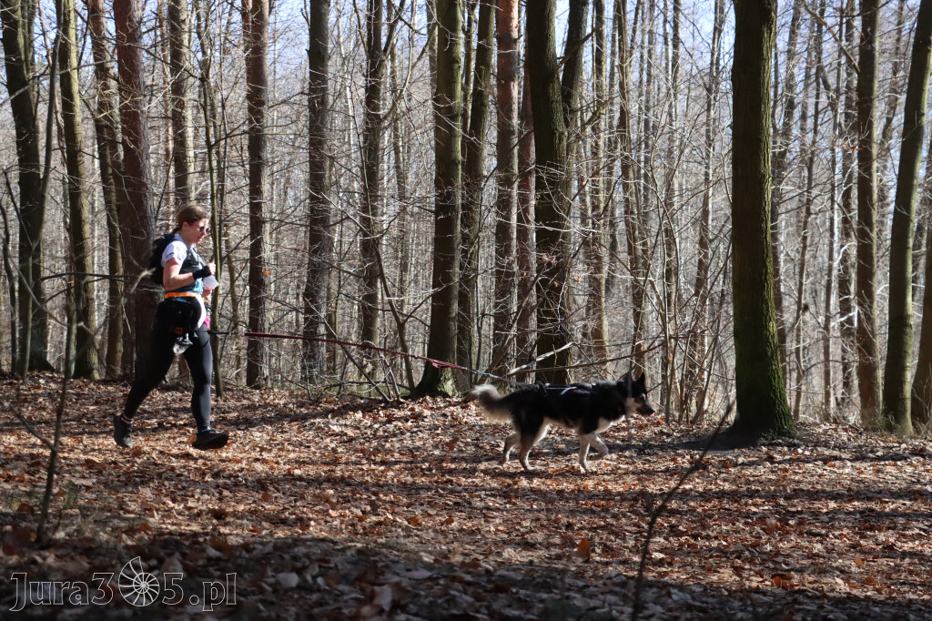 Fotorelacja I: Jurajski Dogtrekking w Myszkowie
