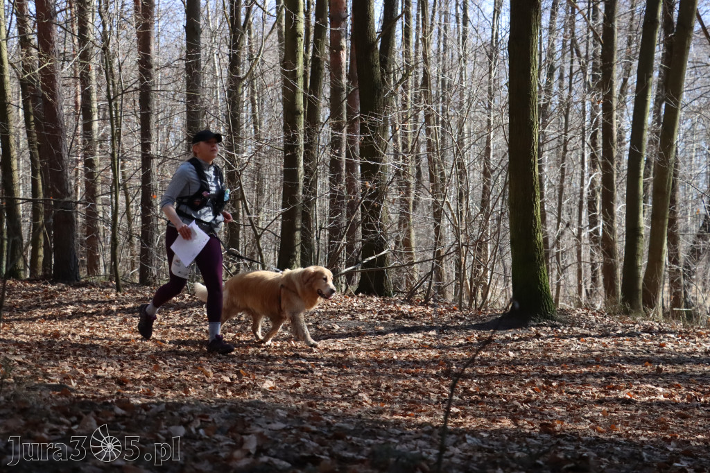 Fotorelacja I: Jurajski Dogtrekking w Myszkowie