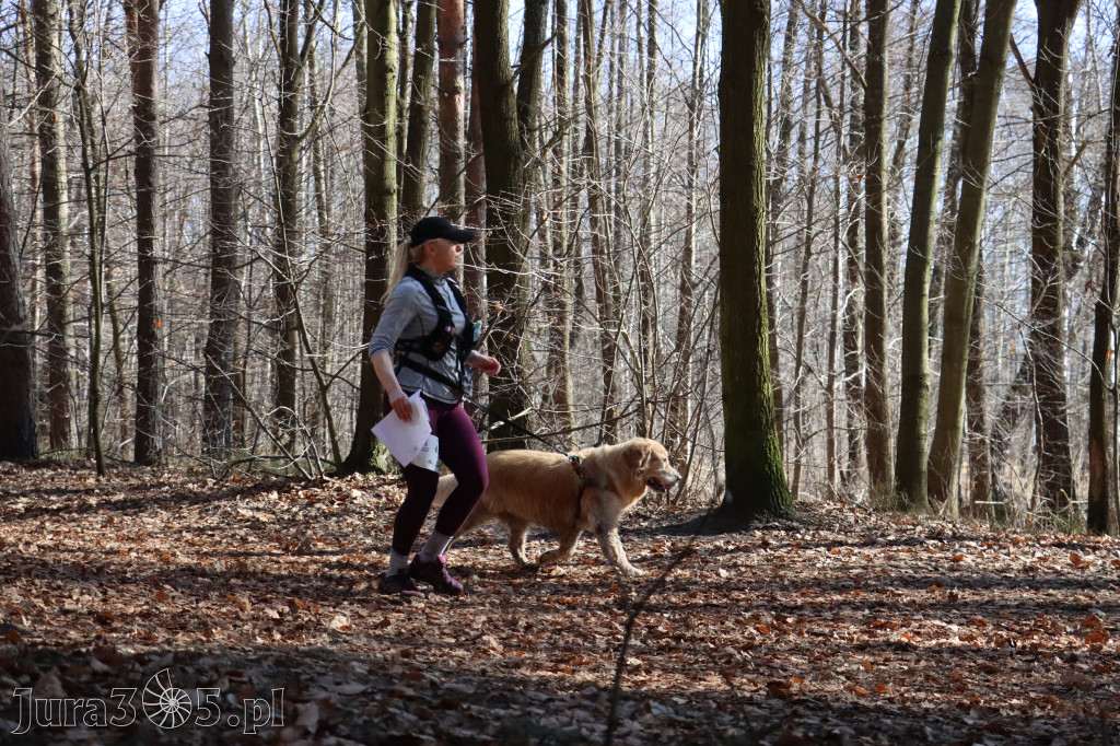Fotorelacja I: Jurajski Dogtrekking w Myszkowie