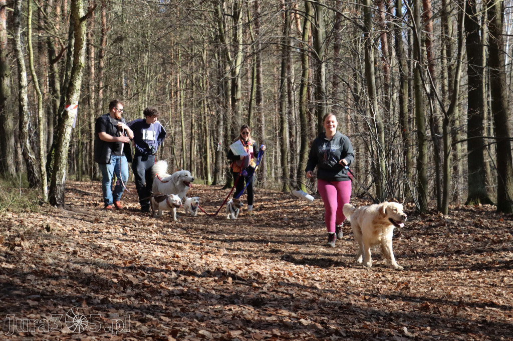 Fotorelacja I: Jurajski Dogtrekking w Myszkowie