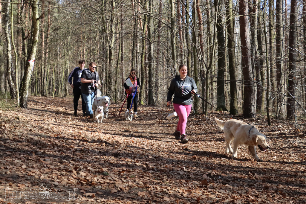 Fotorelacja I: Jurajski Dogtrekking w Myszkowie