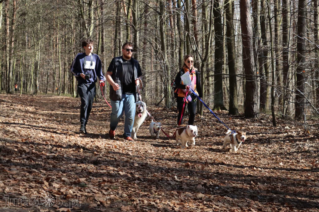 Fotorelacja I: Jurajski Dogtrekking w Myszkowie