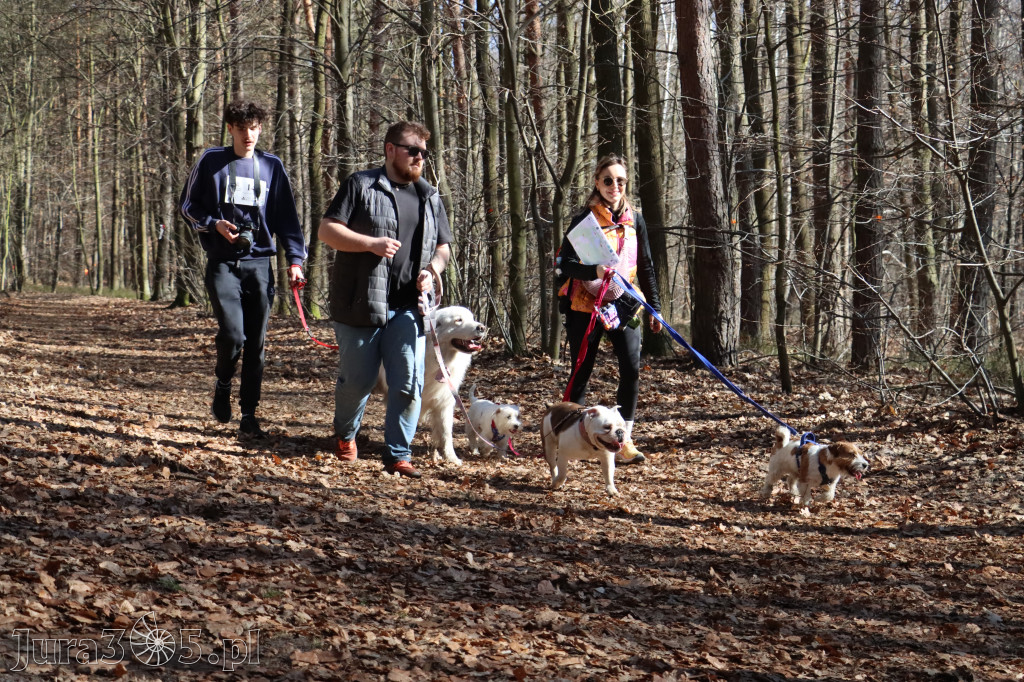 Fotorelacja I: Jurajski Dogtrekking w Myszkowie