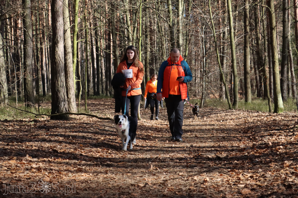 Fotorelacja I: Jurajski Dogtrekking w Myszkowie