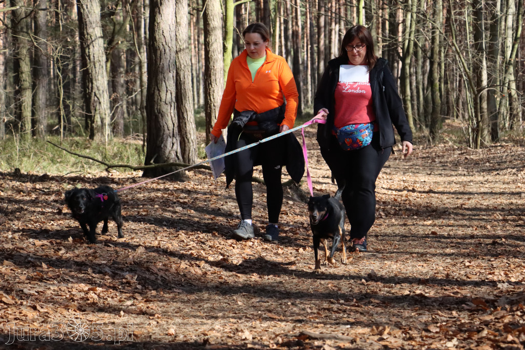 Fotorelacja I: Jurajski Dogtrekking w Myszkowie