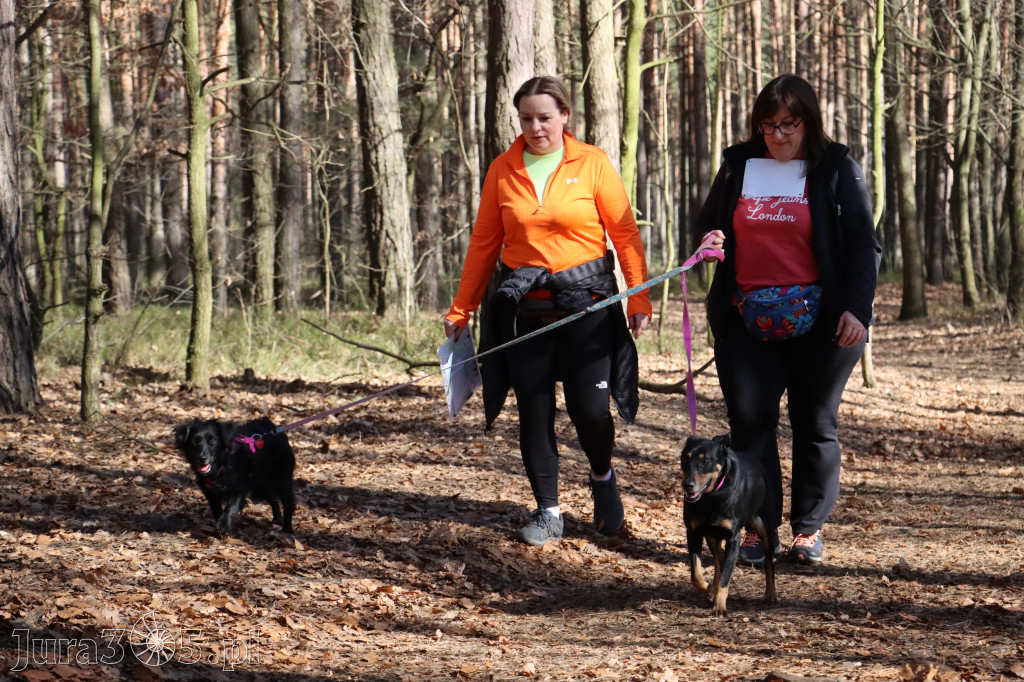 Fotorelacja I: Jurajski Dogtrekking w Myszkowie