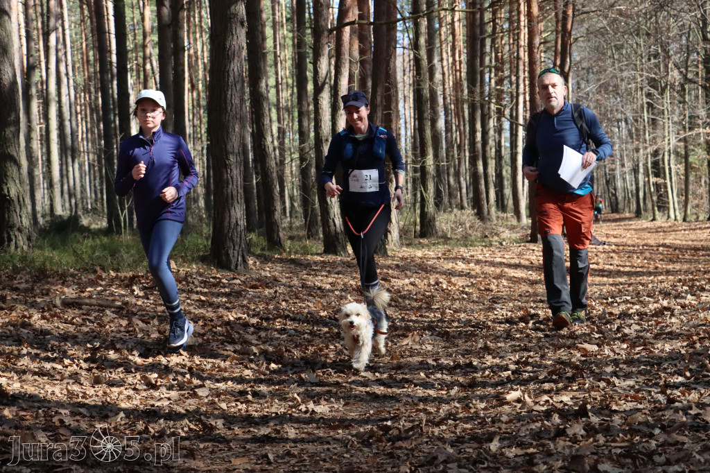Fotorelacja I: Jurajski Dogtrekking w Myszkowie