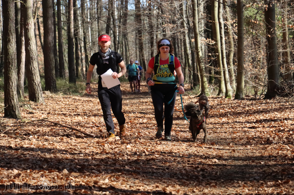 Fotorelacja I: Jurajski Dogtrekking w Myszkowie