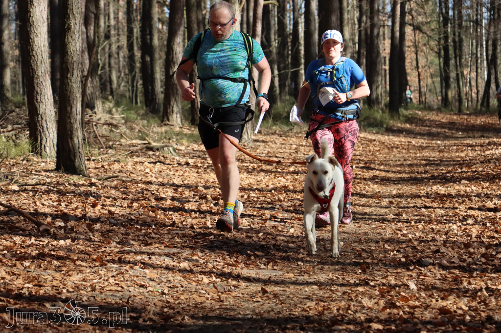Fotorelacja I: Jurajski Dogtrekking w Myszkowie