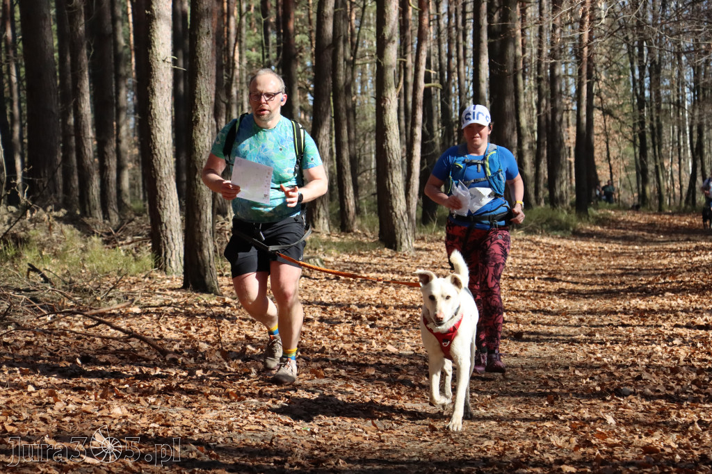 Fotorelacja I: Jurajski Dogtrekking w Myszkowie