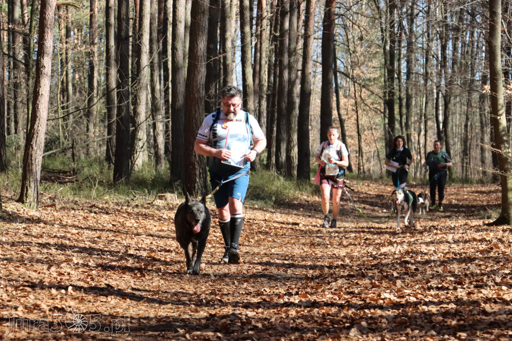 Fotorelacja I: Jurajski Dogtrekking w Myszkowie