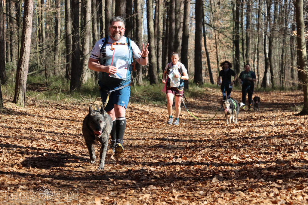 Fotorelacja I: Jurajski Dogtrekking w Myszkowie