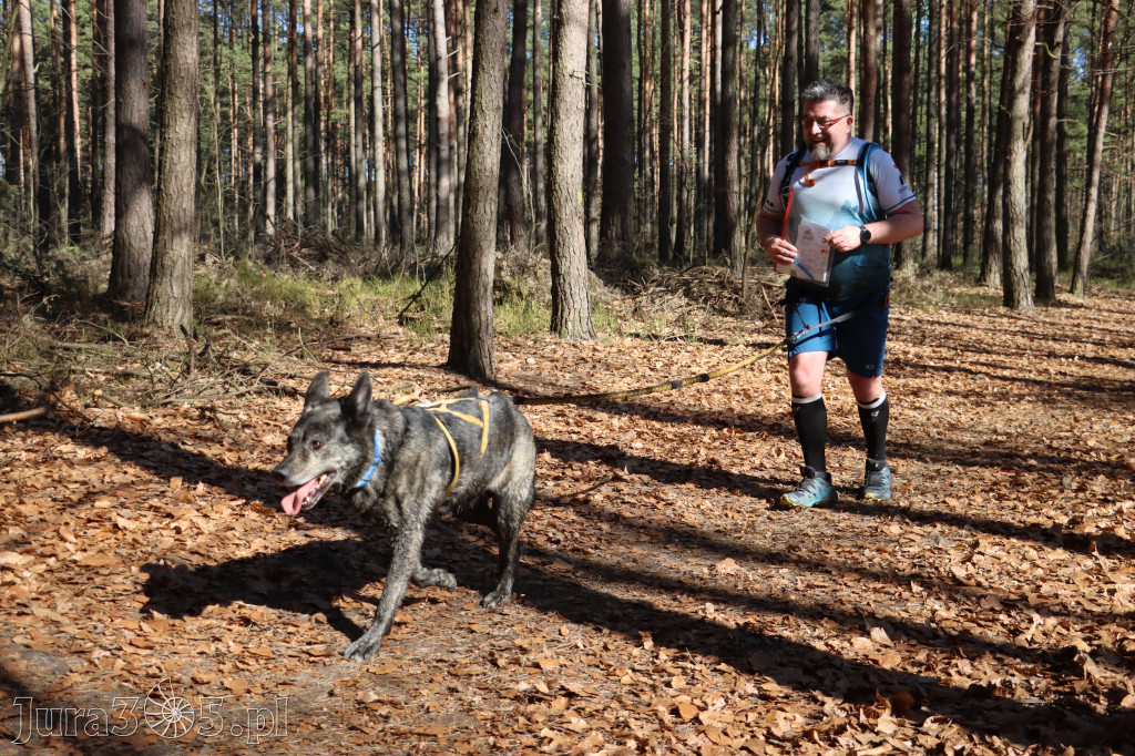 Fotorelacja I: Jurajski Dogtrekking w Myszkowie