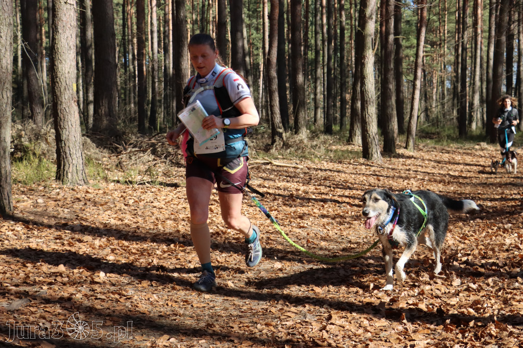 Fotorelacja I: Jurajski Dogtrekking w Myszkowie