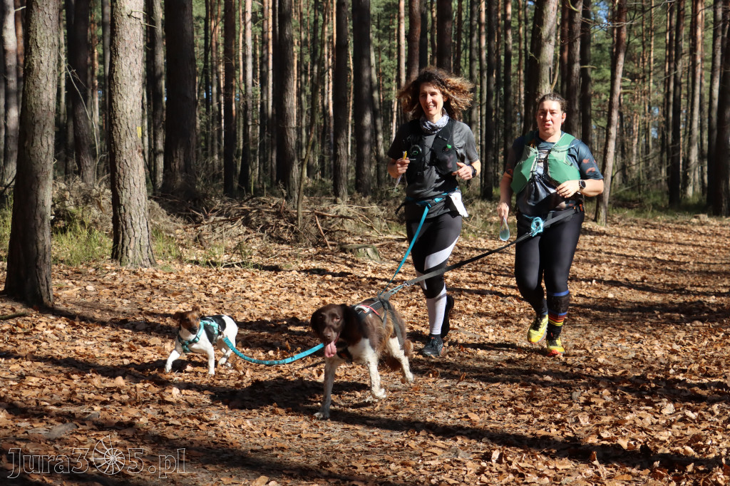 Fotorelacja I: Jurajski Dogtrekking w Myszkowie