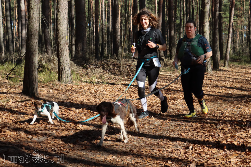 Fotorelacja I: Jurajski Dogtrekking w Myszkowie