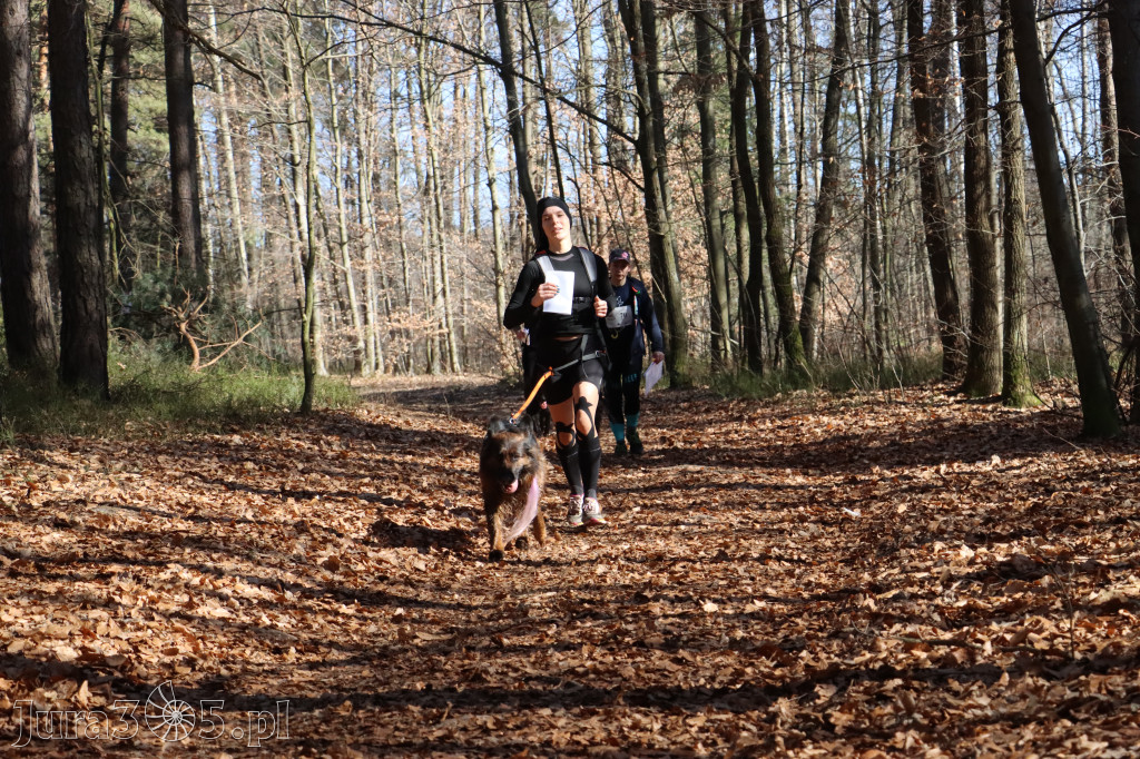 Fotorelacja I: Jurajski Dogtrekking w Myszkowie