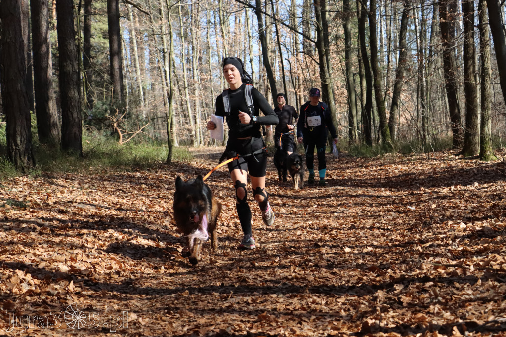 Fotorelacja I: Jurajski Dogtrekking w Myszkowie