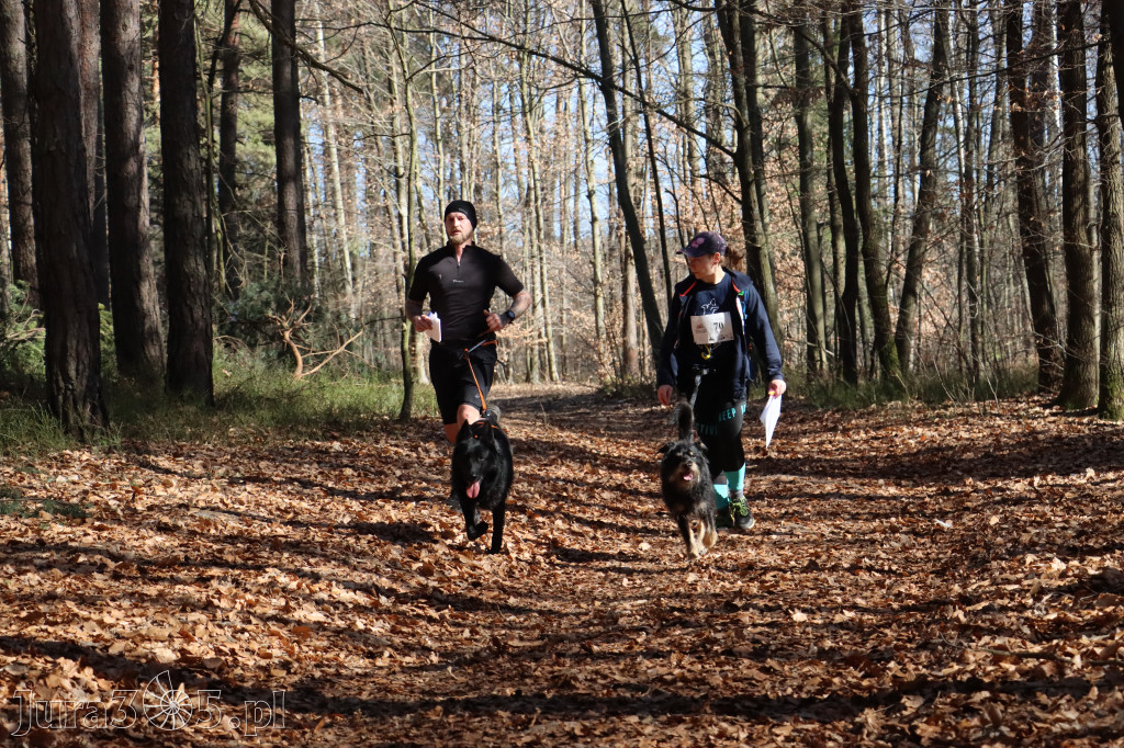 Fotorelacja I: Jurajski Dogtrekking w Myszkowie