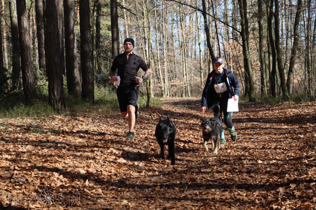 Fotorelacja I: Jurajski Dogtrekking w Myszkowie