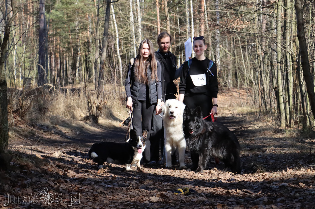 Fotorelacja I: Jurajski Dogtrekking w Myszkowie