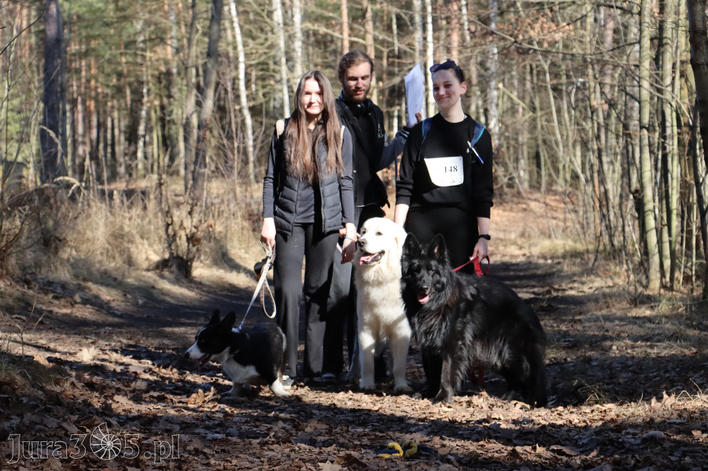 Fotorelacja I: Jurajski Dogtrekking w Myszkowie