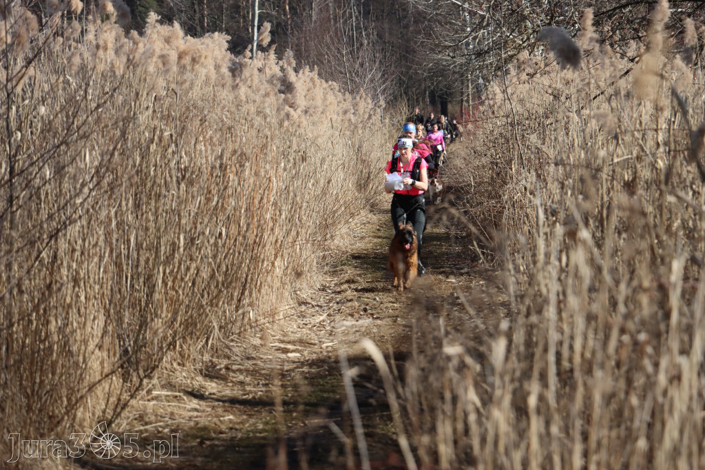 Fotorelacja I: Jurajski Dogtrekking w Myszkowie